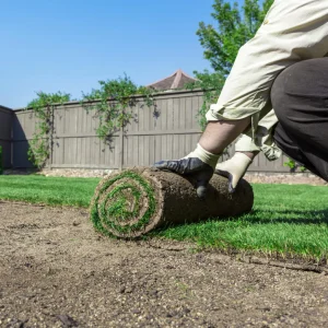 Gazon naturel en rouleaux Premium