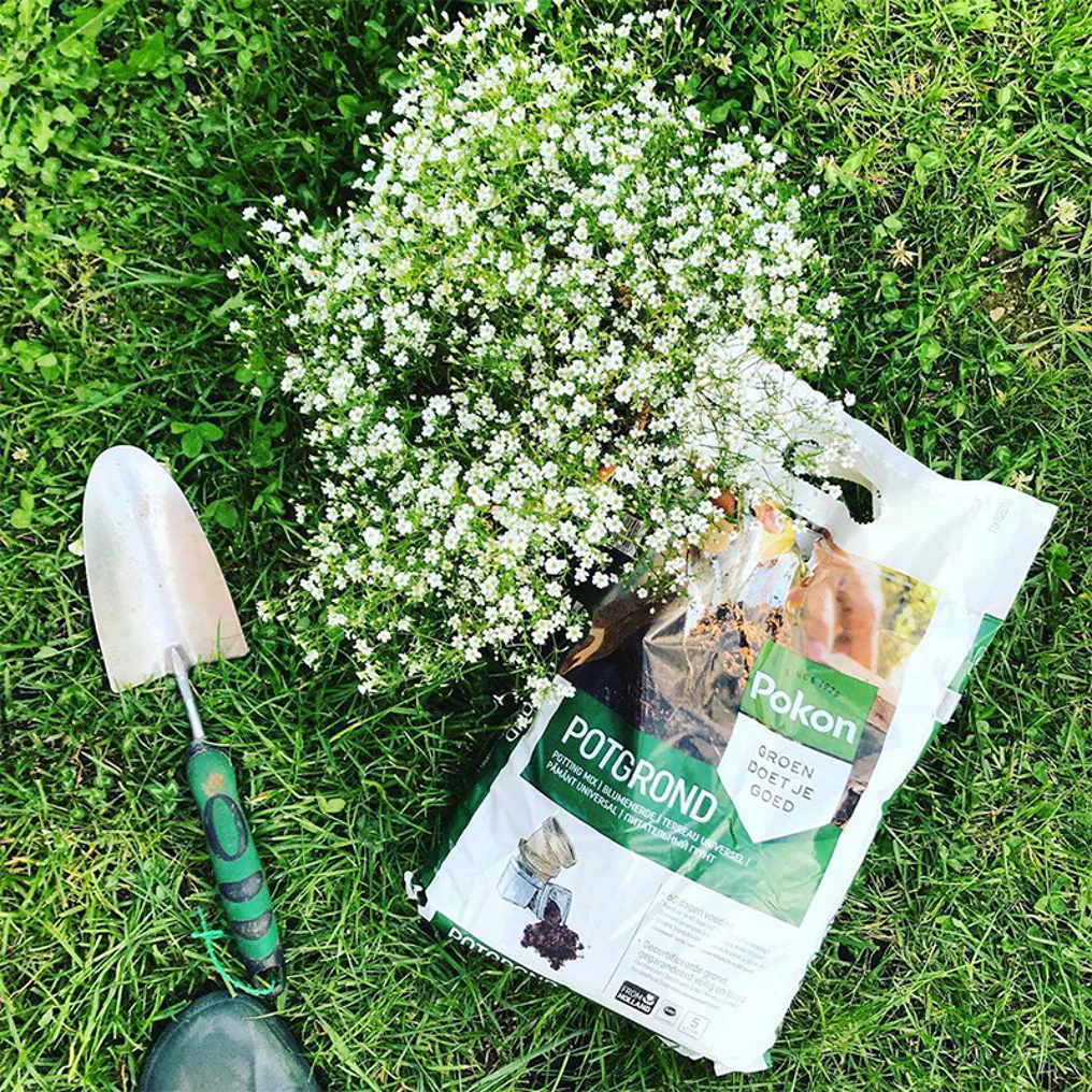 Terreau Universel Pokon dans le jardin